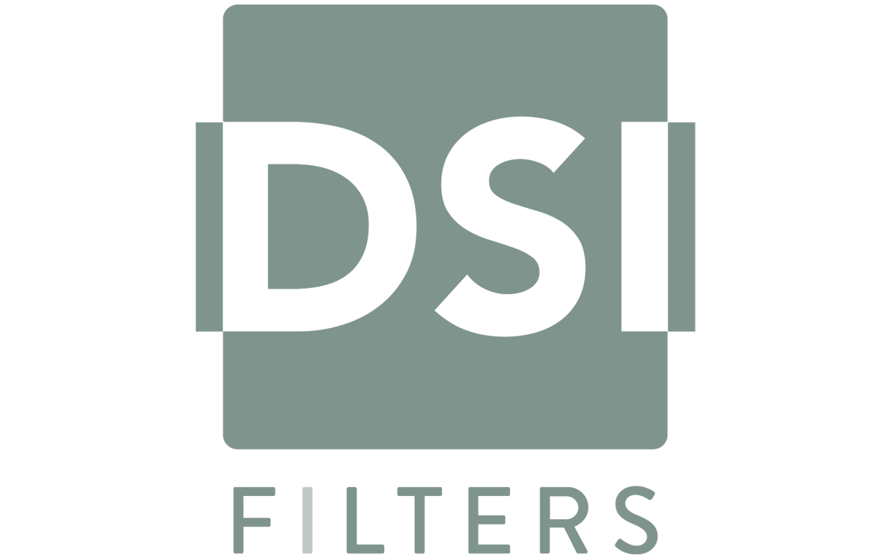 DSI Logo